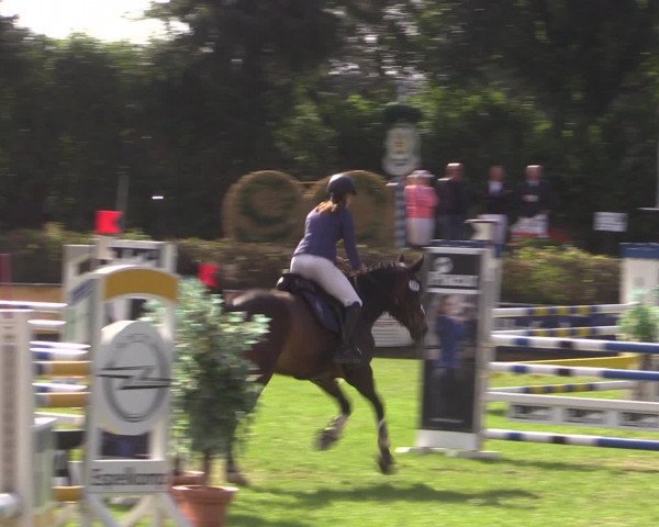 Reitturnier Vlotho-Exter 2015