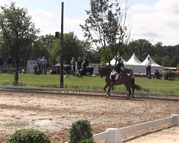 Vinnumer Reitertage 2015
