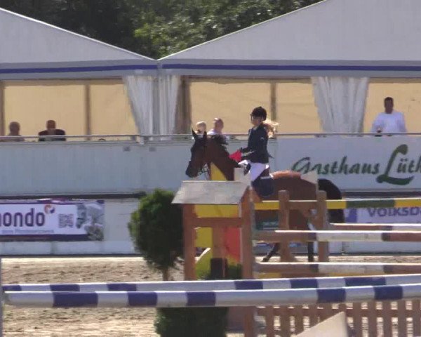 62. Lobbericher Reitsportfestival 2015