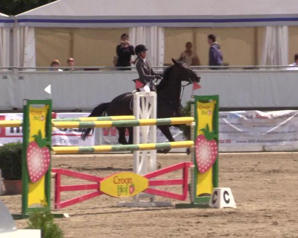 62. Lobbericher Reitsportfestival 2015