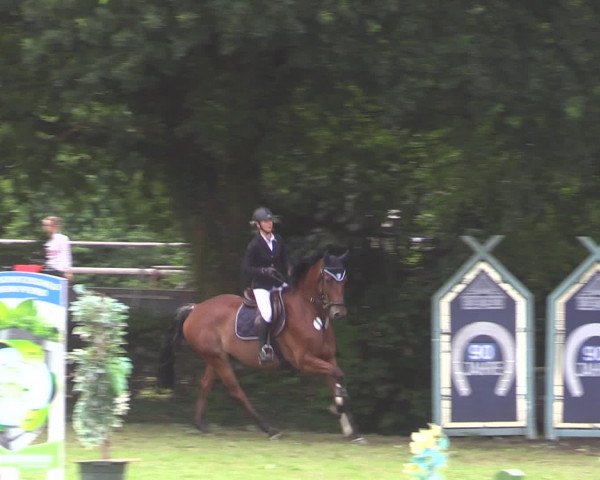 Reitturnier Vlotho-Exter 2015