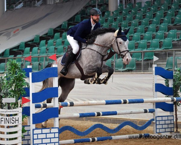 jumper Grace Kelly 124 (Hanoverian, 2014, from Galant de Semilly 2)