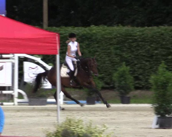 Vinnumer Reitertage 2015