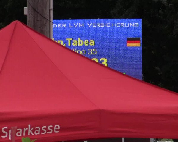 Vinnumer Reitertage 2015
