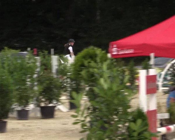 Vinnumer Reitertage 2015