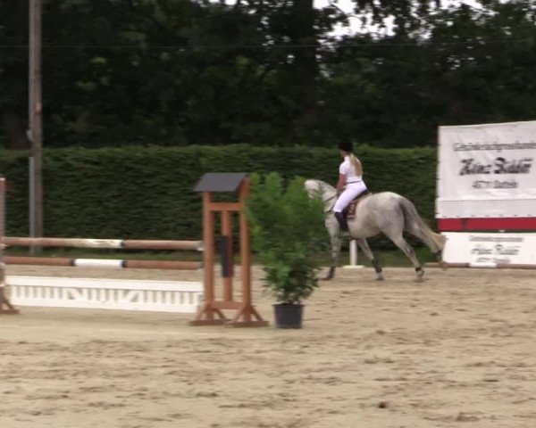 Vinnumer Reitertage 2015