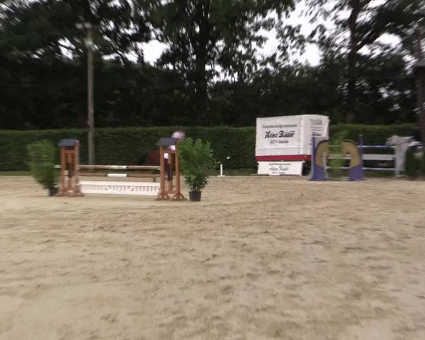 Vinnumer Reitertage 2015