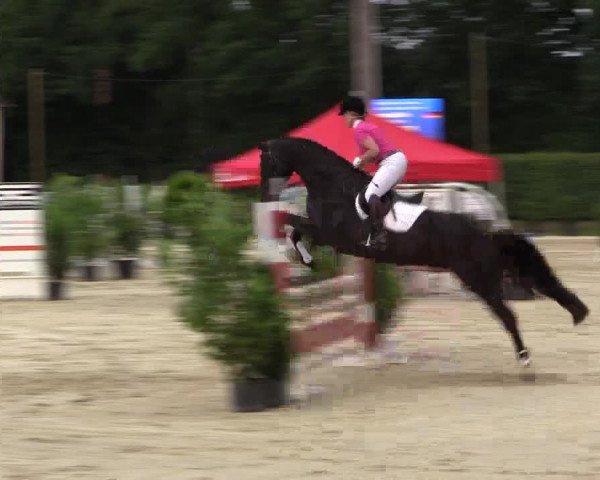Vinnumer Reitertage 2015