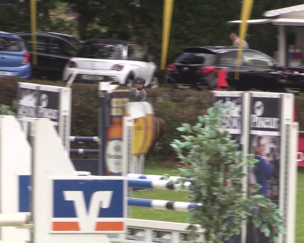 Reitturnier Vlotho-Exter 2015