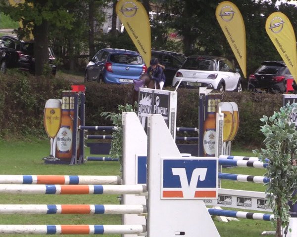Reitturnier Vlotho-Exter 2015