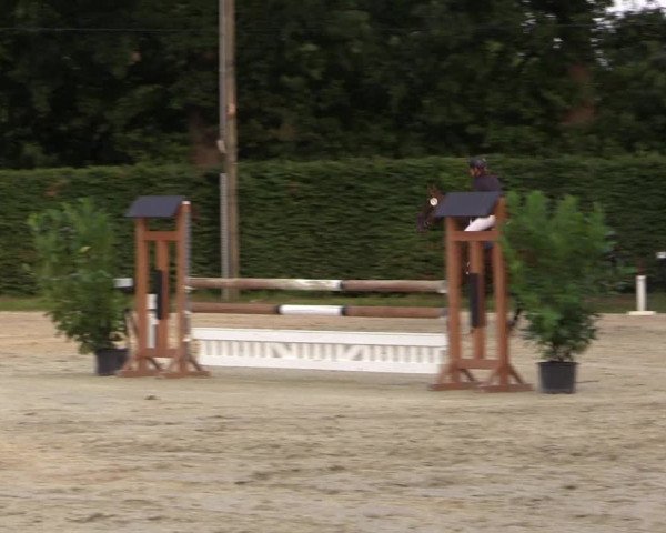 Vinnumer Reitertage 2015