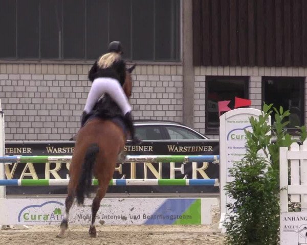 Vinnumer Reitertage 2015