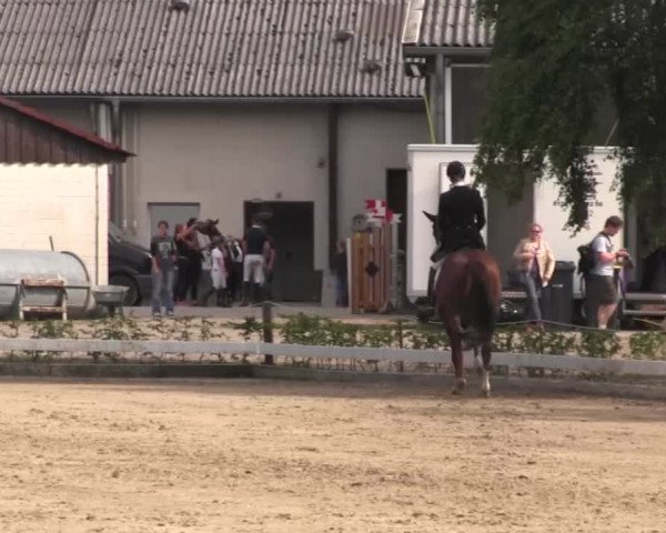 Vinnumer Reitertage 2015