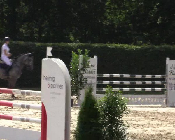 Vinnumer Reitertage 2015
