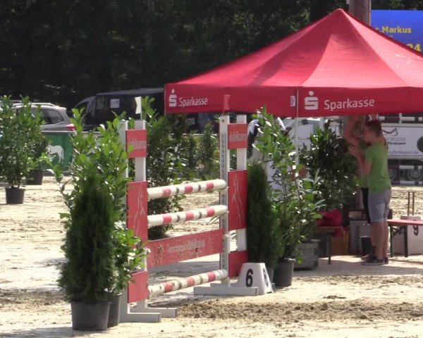 Vinnumer Reitertage 2015