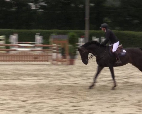 Vinnumer Reitertage 2015