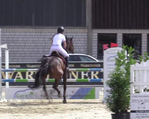 Vinnumer Reitertage 2015