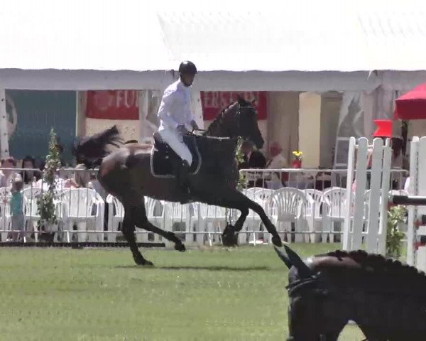55. Süddeutsche Championate - Scharlachrennen 2015