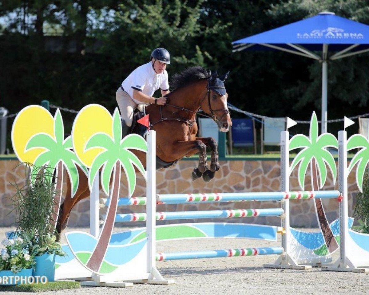 Springpferd Limapi (unbekannt, 2010)