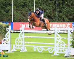 jumper Controe (KWPN (Royal Dutch Sporthorse), 2007, from Wender R)