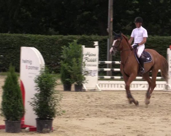 Vinnumer Reitertage 2015