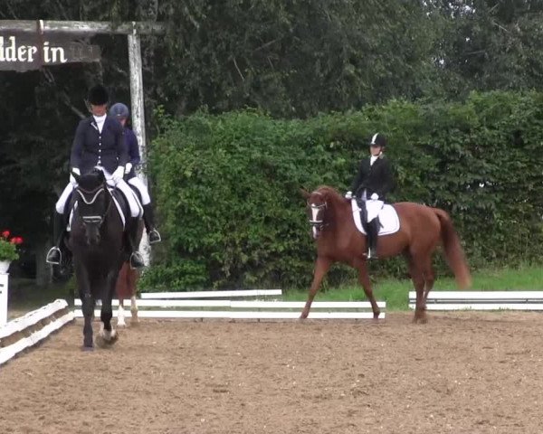 Reitturnier Vlotho-Exter 2015