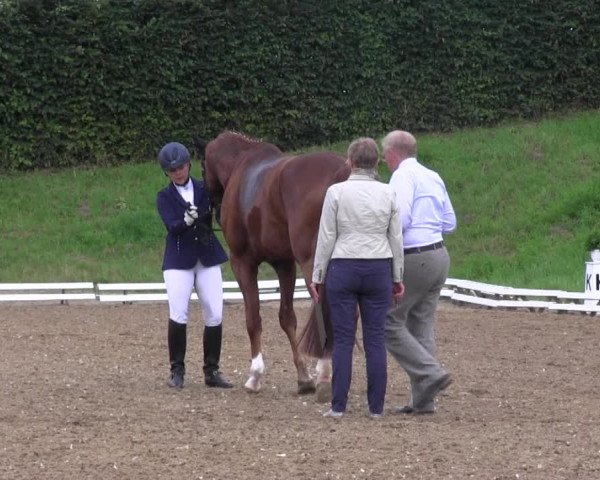 Reitturnier Vlotho-Exter 2015