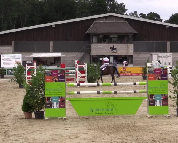 Vinnumer Reitertage 2015