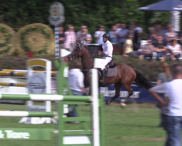 Reitturnier Vlotho-Exter 2015