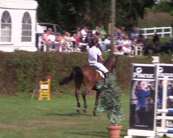 Reitturnier Vlotho-Exter 2015