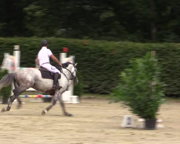 Vinnumer Reitertage 2015