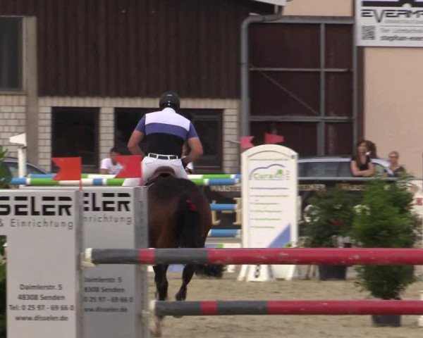 Vinnumer Reitertage 2015