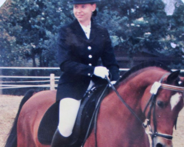 horse Kassiopaia (German Riding Pony, 1981, from Estroon ox)