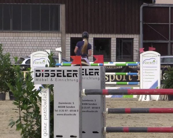 Vinnumer Reitertage 2015