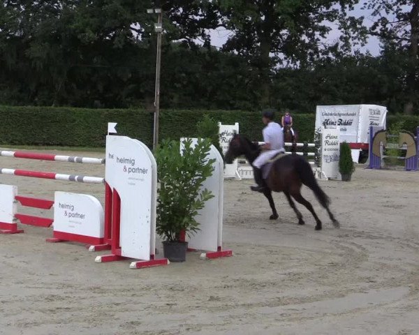Vinnumer Reitertage 2015