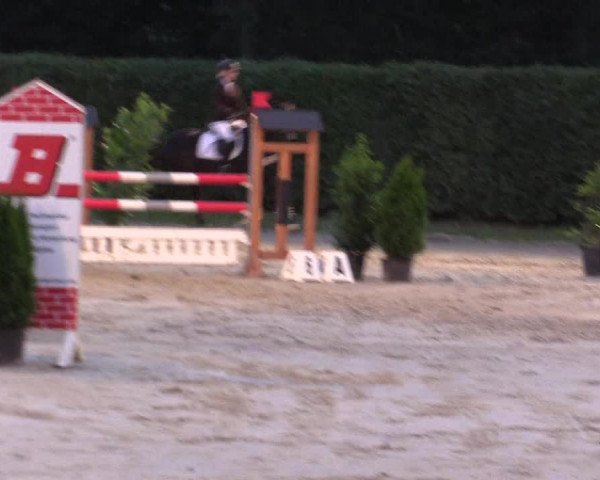 Vinnumer Reitertage 2015