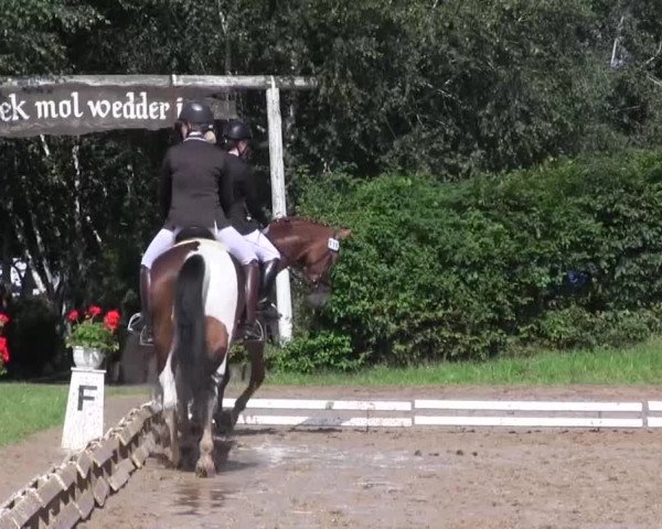 Reitturnier Vlotho-Exter 2015