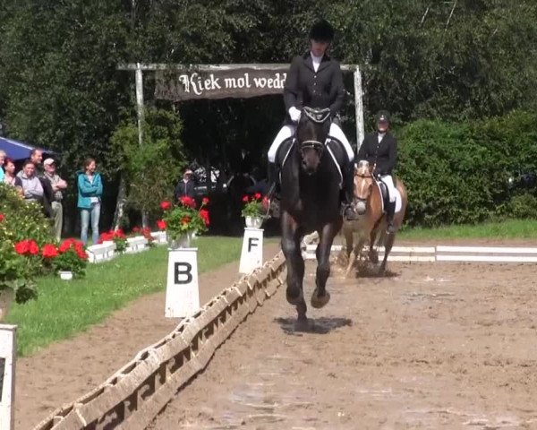 Reitturnier Vlotho-Exter 2015