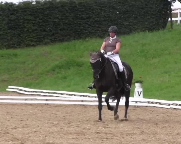 Reitturnier Vlotho-Exter 2015
