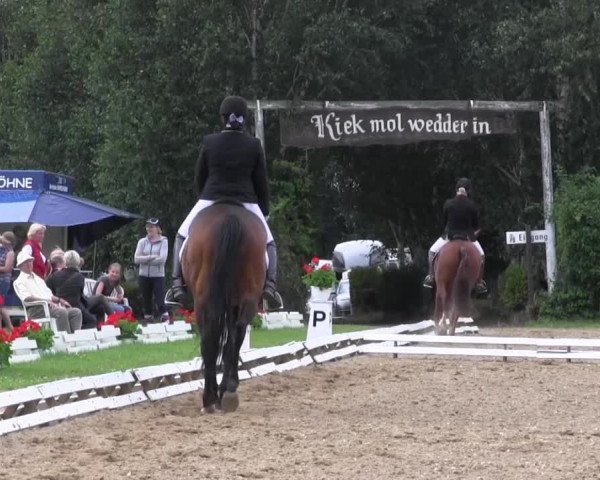 Reitturnier Vlotho-Exter 2015