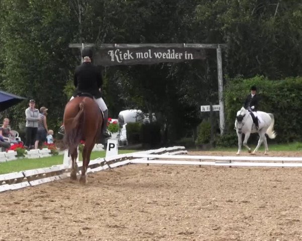 Reitturnier Vlotho-Exter 2015