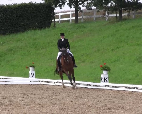 Reitturnier Vlotho-Exter 2015
