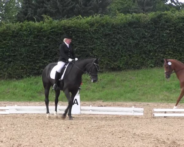 Reitturnier Vlotho-Exter 2015