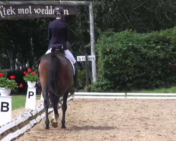 Reitturnier Vlotho-Exter 2015