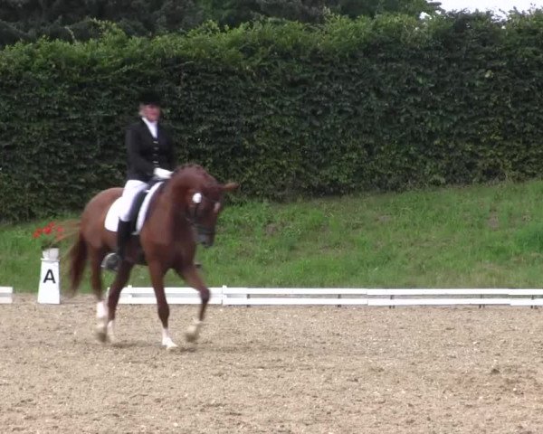 Reitturnier Vlotho-Exter 2015