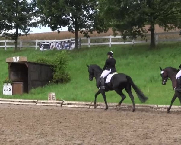 Reitturnier Vlotho-Exter 2015