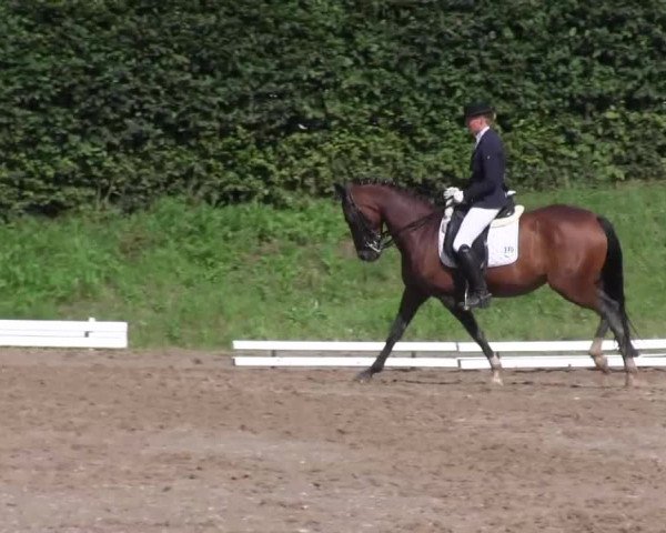 Reitturnier Vlotho-Exter 2015