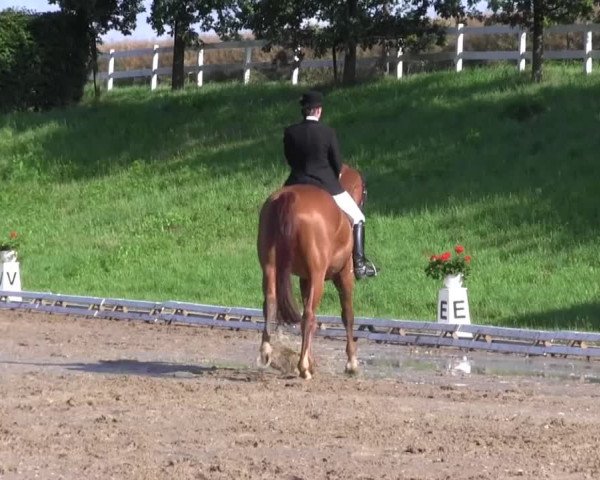 Reitturnier Vlotho-Exter 2015