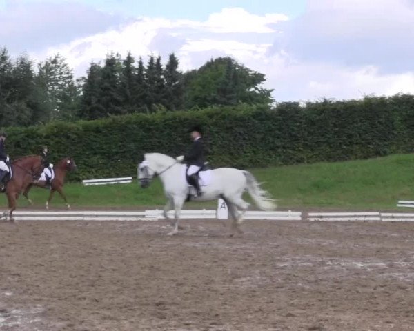 Reitturnier Vlotho-Exter 2015