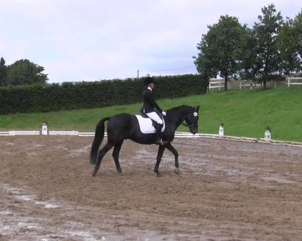 Reitturnier Vlotho-Exter 2015